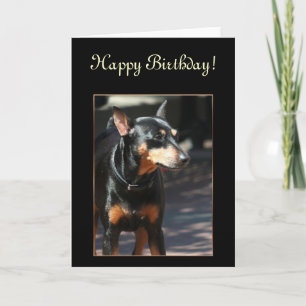 Joyeuse carte de voeux de Miniature Pinscher anniv