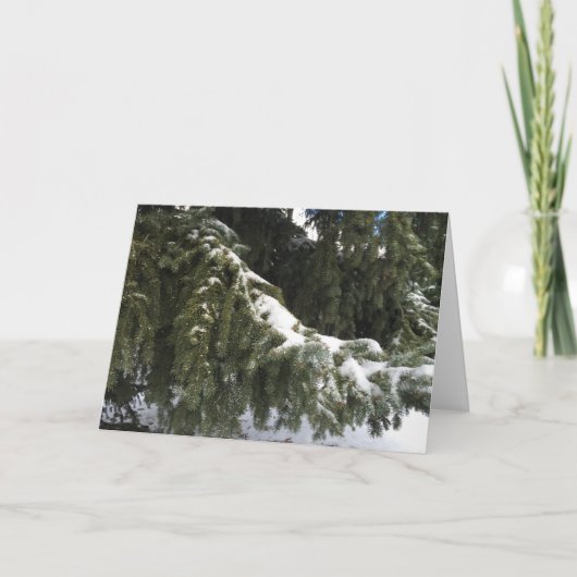 Joyeuse carte de voeux de Noël (Devant)