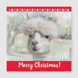 Joyeuse carte magnétique Alpaca de Noël