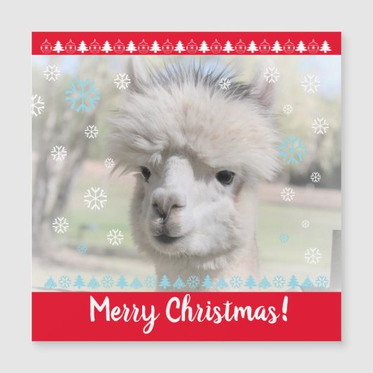 Joyeuse carte magnétique Alpaca de Noël (Devant)