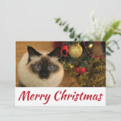 Joyeuse carte postale Christmas Kitty (Debout devant)