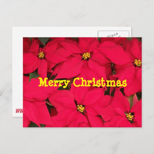 Joyeuse carte postale de Noël (Devant / Derrière)