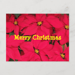 Joyeuse carte postale de Noël