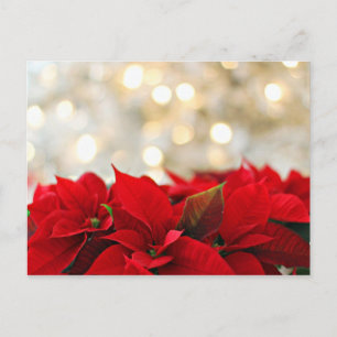 Joyeuse carte postale de Noël avec fleurs