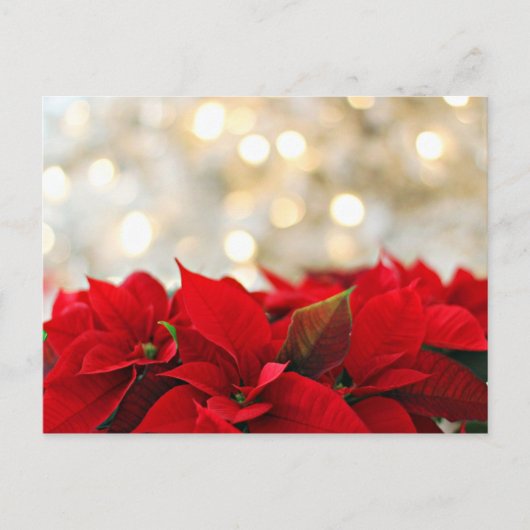 Joyeuse carte postale de Noël avec fleurs (Devant)