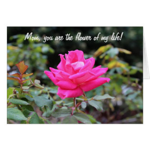 Joyeuse fête des mères