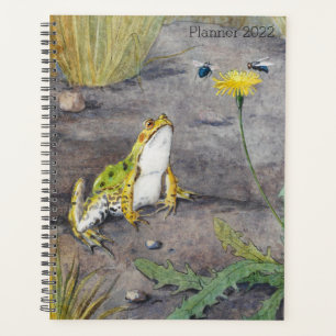 Joyeuse Grenouille verte Whimsical