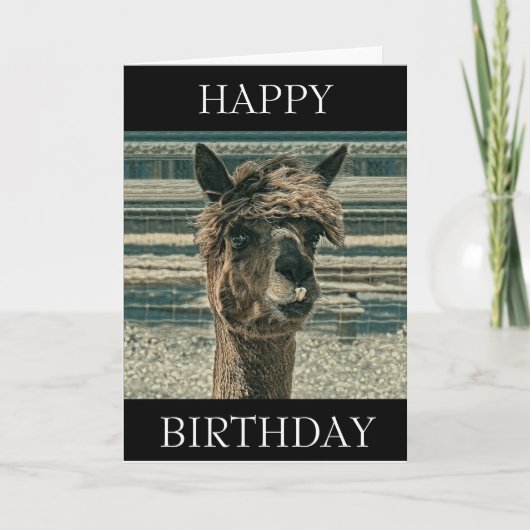 Joyeuse Llama d'anniversaire - Carte d'anniversair (Devant)