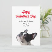 Joyeuse Saint-Valentin Carte Boston Terrier (Debout devant)