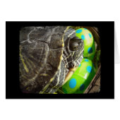 Joyeuse tortue de Pâques (Devant horizontal)