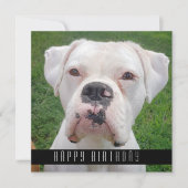 Joyeuses Cartes D'Anniversaire Avec Chiens, Ajoute (Devant)