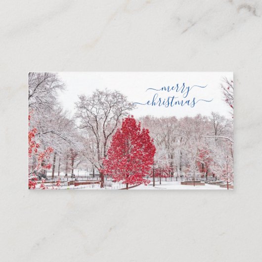 Joyeuses Cartes de Noël (Dos)