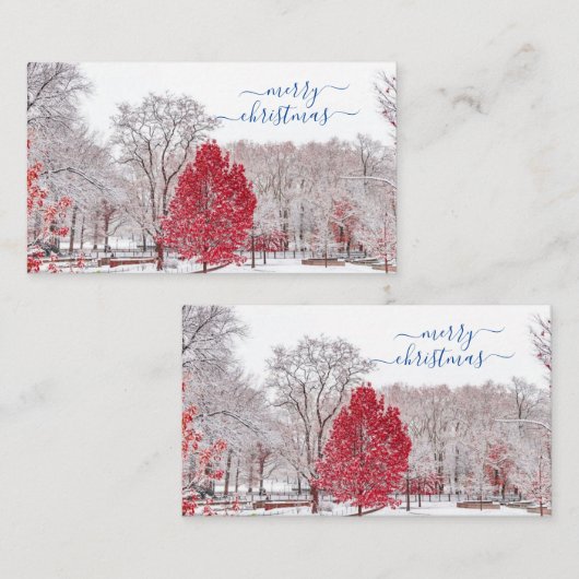 Joyeuses Cartes de Noël (Devant / Derrière)