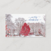 Joyeuses Cartes de Noël (Devant)