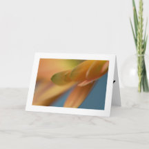 Joyeuses Cartes pliées d'anniversaire avec photo u