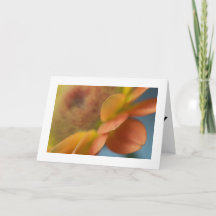 Joyeuses Cartes pliées d'anniversaire avec photo u