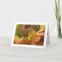 Joyeuses Cartes pliées d'anniversaire avec photo u