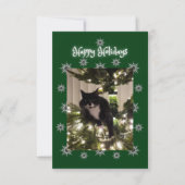 Joyeuses fêtes. Carte de Noël avec chat Tuxedo. (Devant)