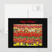 Joyeuses Fêtes ! cartes postales Fleurs de Tulipe (Devant / Derrière)