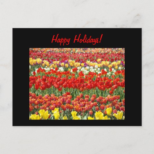 Joyeuses Fêtes ! cartes postales Fleurs de Tulipe (Devant)