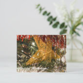 Joyeuses fêtes des colonies d'Amana Cartes postale (Debout devant)