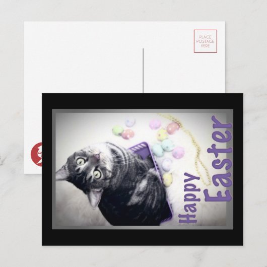 Joyeuses Pâques - Kitty - carte postale (Devant / Derrière)