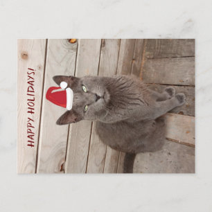 Joyeuses vacances Carte postale de chat CaGrey