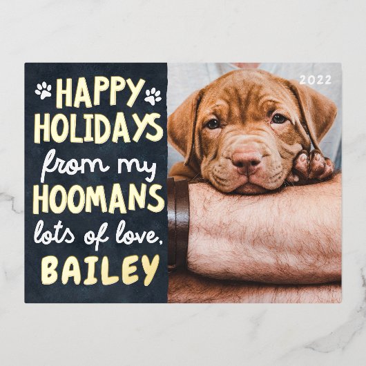 Joyeuses Vacances Funny Moderne Animaux de compagn (Recto)