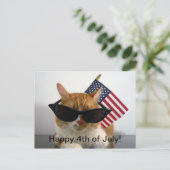 Joyeux 4 juillet Chat Cool avec Carte Postale de D (Debout devant)