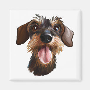 Joyeux Aimant À poils durs Dachshund