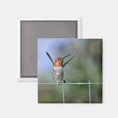 Joyeux Aimant Colibri (Recto/Verso)