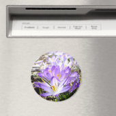 Joyeux Aimant Crocus de printemps (In Situ (Lave-vaisselle))