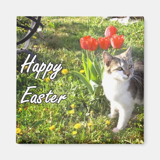 Joyeux aimant de chat de Pâques (Devant)