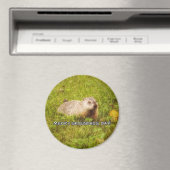 Joyeux aimant Jour de marmotte (In Situ (Lave-vaisselle))
