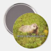 Joyeux aimant Jour de marmotte (Recto/Verso)