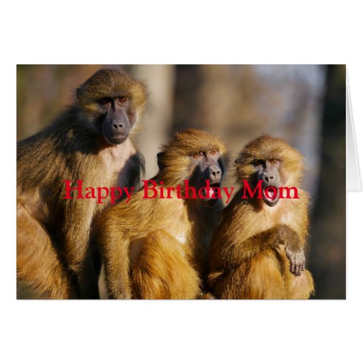 Joyeux Amour d'anniversaire de vos singes Fun Anim (Devant horizontal)