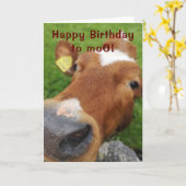 Joyeux anniversaire à la carte de voeux moo (Fleur jaune)