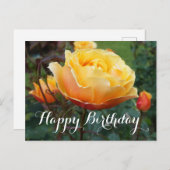 Joyeux Anniversaire À propos de Face Rose #2 Carte (Devant / Derrière)