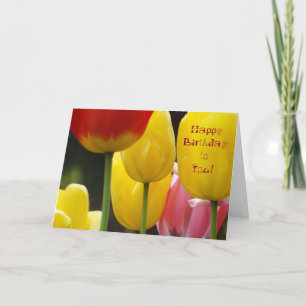 Joyeux Anniversaire à Toi ! Cartes Tulipe Vives Co