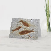 Joyeux anniversaire à une vieille carte fossile (Dos)