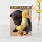 JOYEUX ANNIVERSAIRE À VOUS **GRAND-FILLE** CARTE (Fleur jaune)