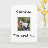 JOYEUX ANNIVERSAIRE À VOUS **PETIT-FILS** CARTE (Fleur jaune)