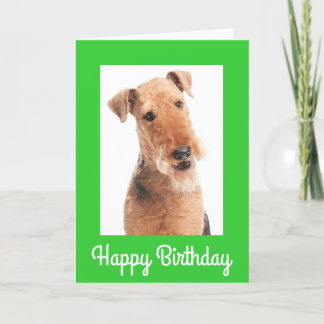 Joyeux Anniversaire Airedale Terrier Chien Carte d