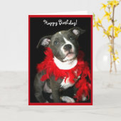 Joyeux Anniversaire bleu Pitbull Puppy carte de vo (Fleur jaune)