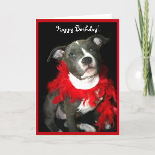 Joyeux Anniversaire bleu Pitbull Puppy carte de vo