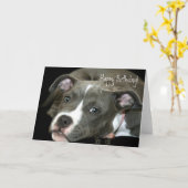 Joyeux Anniversaire bleu Pitbull Puppy carte de vo (Fleur jaune)