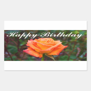 Joyeux Anniversaire Caraïbes Rose #2 Stickers