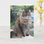 Joyeux anniversaire. Carte avec belle photo de cha (Fleur jaune)