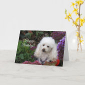 Joyeux Anniversaire Carte chien de caniche (Fleur jaune)