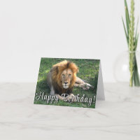 Joyeux anniversaire ! Carte d'anniversaire du lion